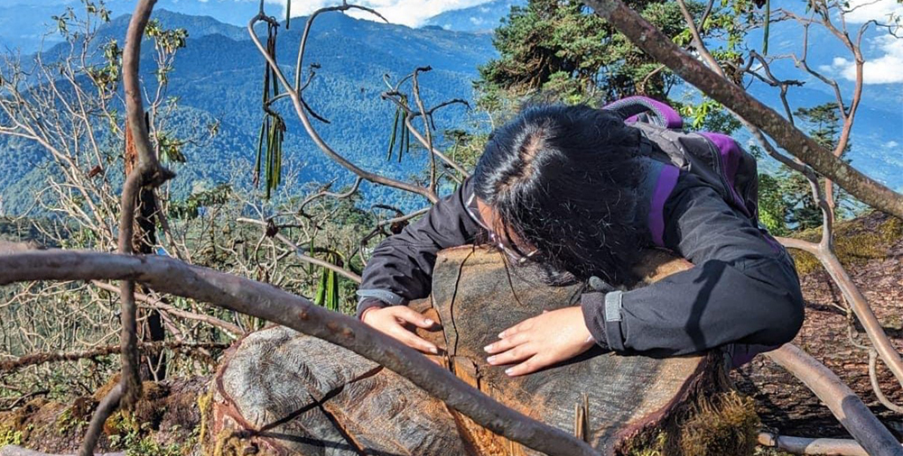 ‘फेक डकुमेन्ट’का आधारमा पाथीभराको वन फाँडेको प्रमाण भेटियो