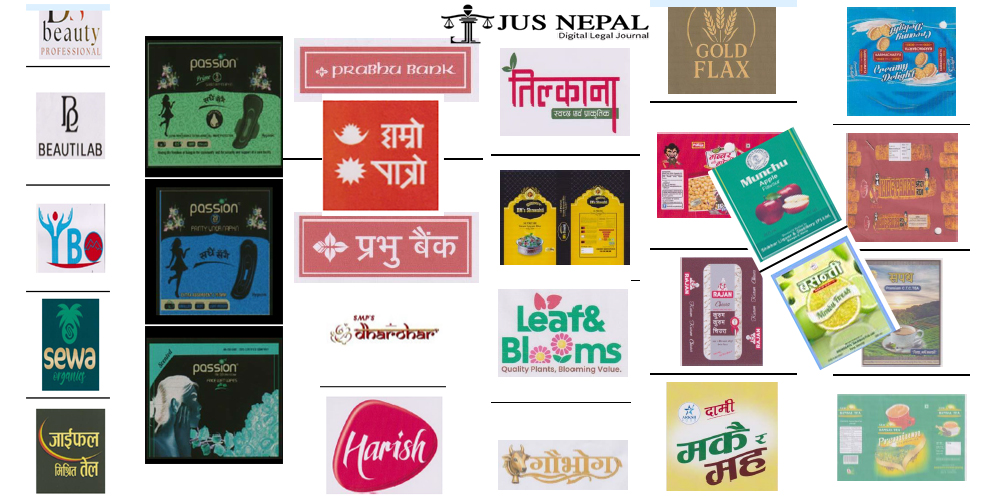 नेपालमा पेटेन्ट र डिजाइन दर्ता : जान्नैपर्ने १२ तथ्य