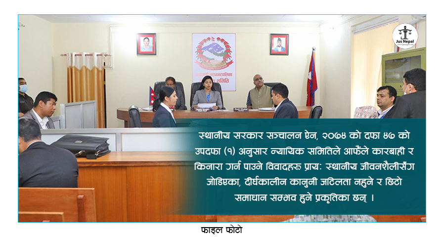 न्यायिक समितिको संरचना, अधिकार र व्यवहारिक अभ्यास