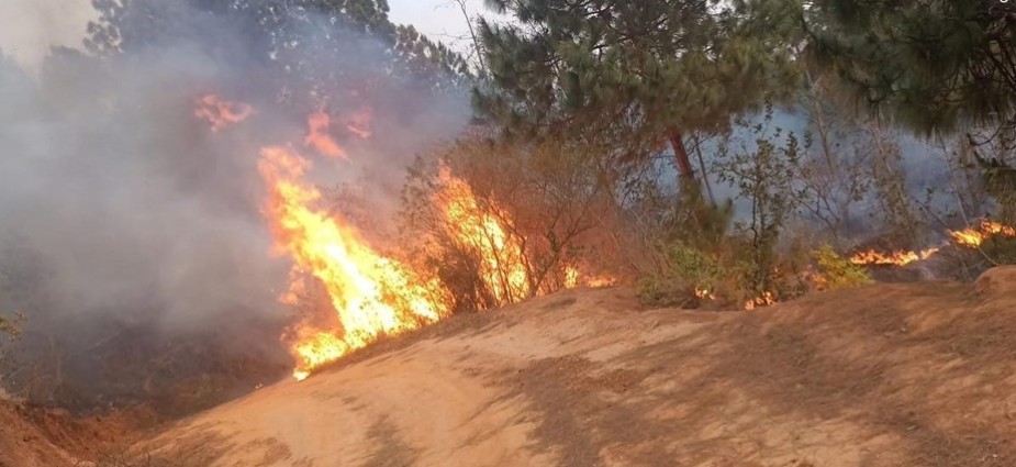 वनमा आगो लगाउनेविरुद्ध मुद्दा दायर, ३ वर्ष कैद र ६० हजार जरिवाना मागदाबी