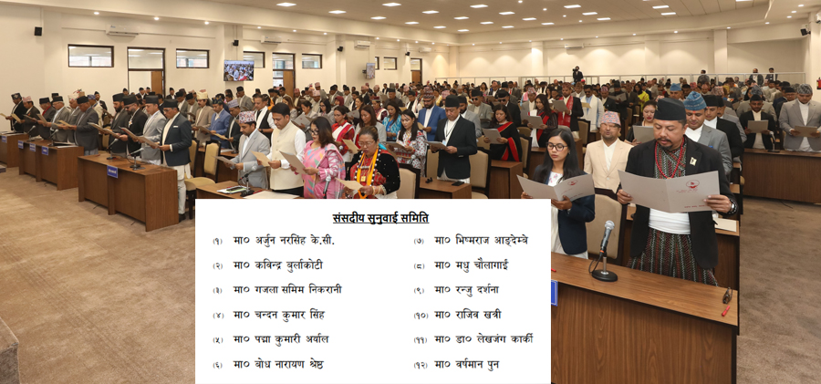 प्रधानन्यायाधीश नियुक्तिलाई ‘रुजु’ गर्ने सुनुवाई समितिमा १२ सांसद छानिए