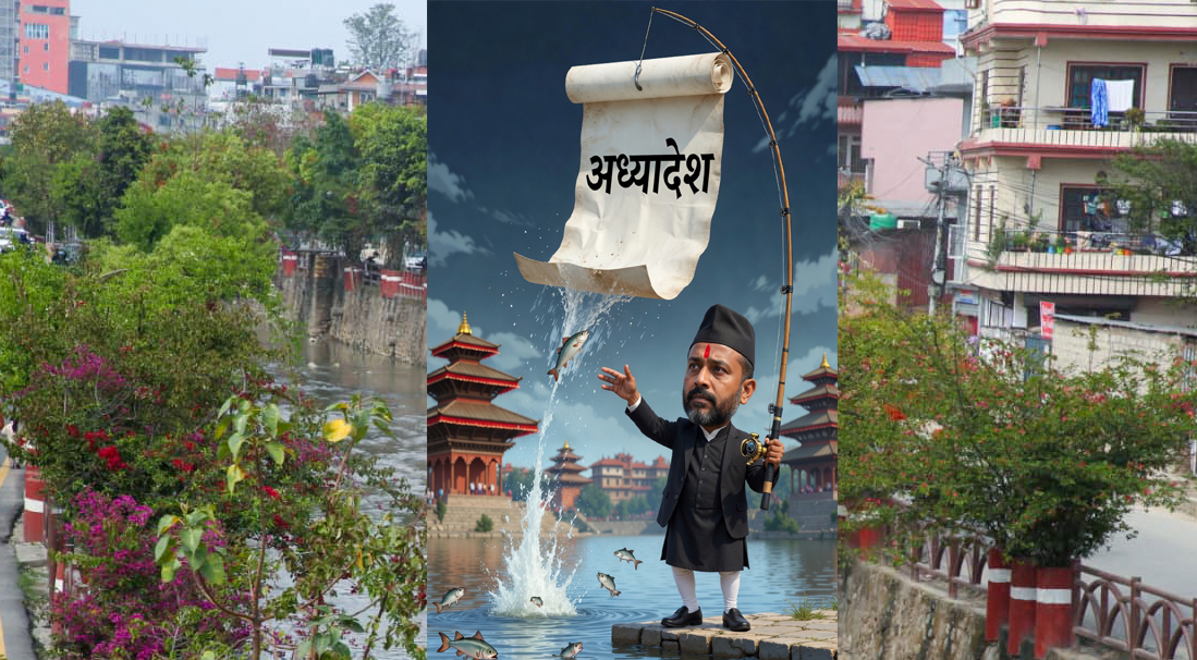 अध्यादेश अध्यादेश अध्यादेश !