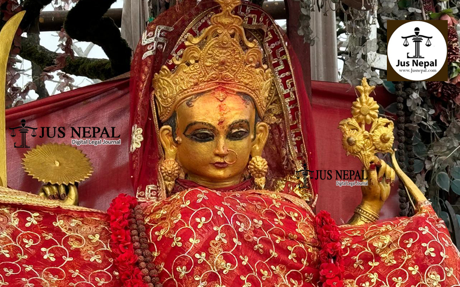 फर्जी तथ्यांक र वन मन्त्रालयको मौनता : पाथीभरा केबलकारको वास्तविकता-२