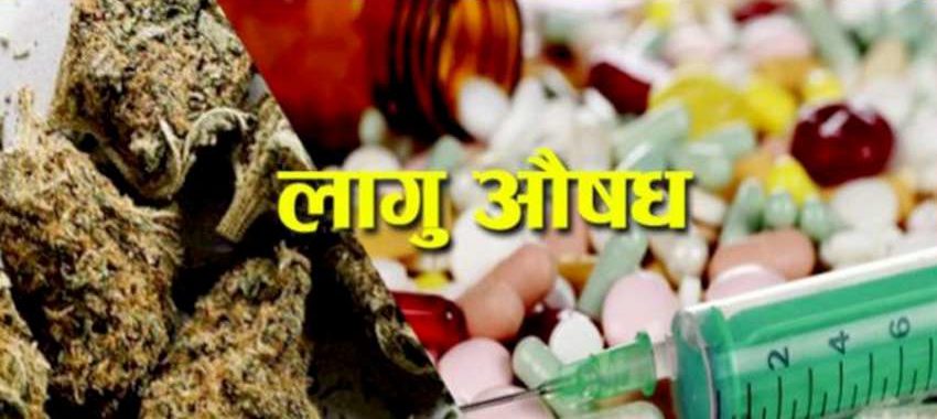 कञ्चनपुरमा लागुऔषध ओसारपसार नियन्त्रण चुनौती बन्दै